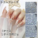 「5ケースセット」ネイルパーツ シェルフレーク クラッシュシェル ネイル レジン 天然貝殻 ナチュラル オーロラ ネイルパーツ シェル 貝殻 シェル ネイルアー...