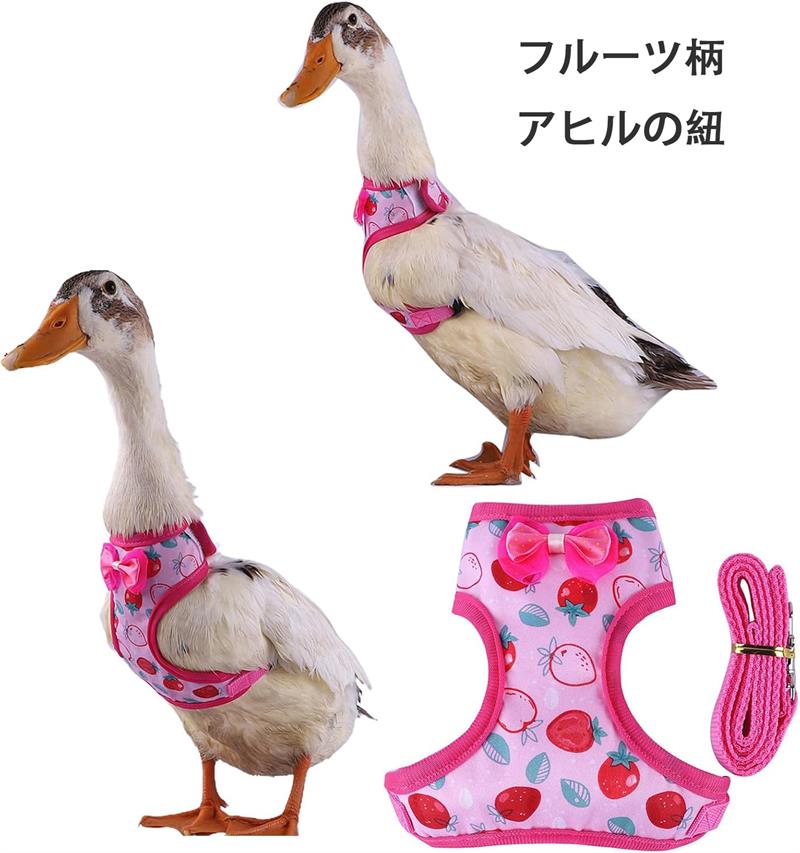 フルーツパターン アヒルを吸うための柔らかい 小さな動物 ハーネス ひも 送料無料