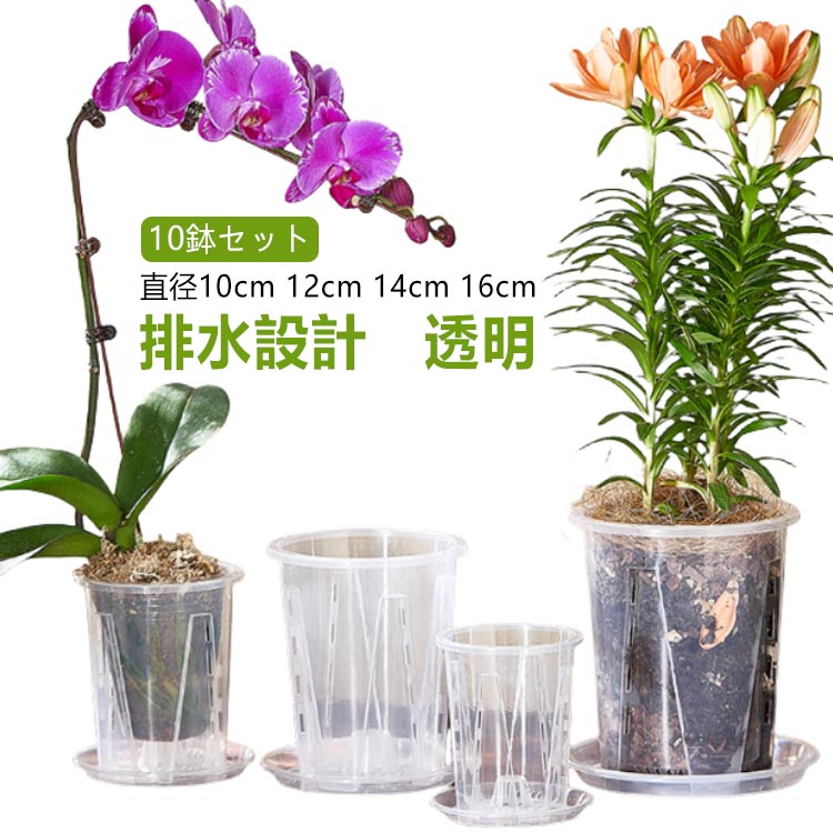 観葉植物の植え替え 12cm スリット鉢 根腐れ防止 16cm 直径10cm 植木鉢 胡蝶蘭専用 胡蝶蘭の植え替え 受皿付き 10鉢セット スリット 鉢 植え替え 14cm 根が見える鉢 クリア 観葉植物の鉢 プラスチック 透明 送料無料