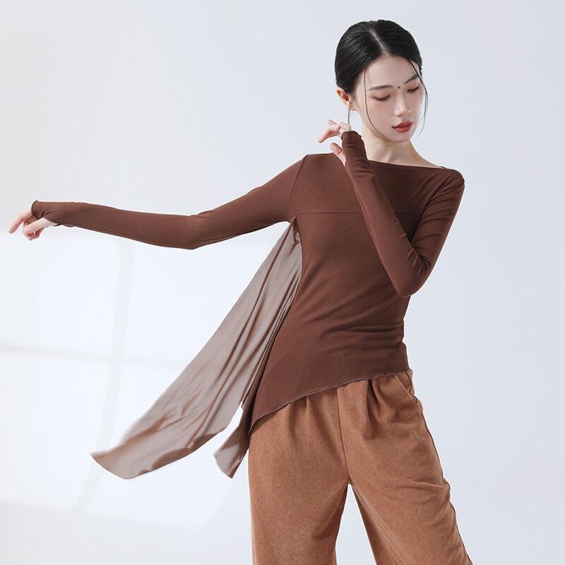 ダンス衣装 トップス レディース 長袖 指通し メッシュフリル フレアシースルー ボディコンシャス バレエ ジャズ 練習レッスンウエア ストレッチ 練習着 古典舞踊 バレエウエア 社交ダンス ヨガ スポーツ エレガント 送料無料