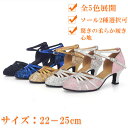 女性ラテンレディース社交ダンススエードソール靴練習用舞台演奏会スポーツステージダンスシューズヒール5 ...