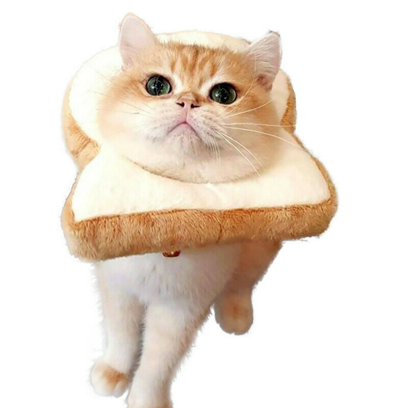 送料無料 犬猫用帽子 猫 かぶりもの パン トーストブレッド 猫用 犬用 ペット用帽子 猫被り物 ペット用..