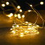 LED ジュエリーライト 電池式 クリスマス 20球 2m クリスマスオーナメント 電飾 クリスマスツリー飾り 点灯 電球色 マルチカラー イルミネーション 屋外 フェスティバル 室内 庭 部屋 ワイヤー フェアリー キラキラ ぴかぴか パーティー 1,180円