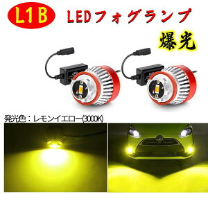 L1B LED LEDե ե  ָб ѥå  5800LM  ݥդ ϥ7 饦220  ץꥦ50 ϥꥢ80 ƥåץ若RP6.7.8 LED եХ եդ FMΥк ǯ¿ݾ