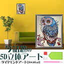 ダイヤモンドアート 5D ビーズ絵画 フクロウ 図案 かわいい ダイヤモンドアート ビーズ 動物 初心者 趣味 パズルアート やり方 簡単 北欧 ギフト プレゼント