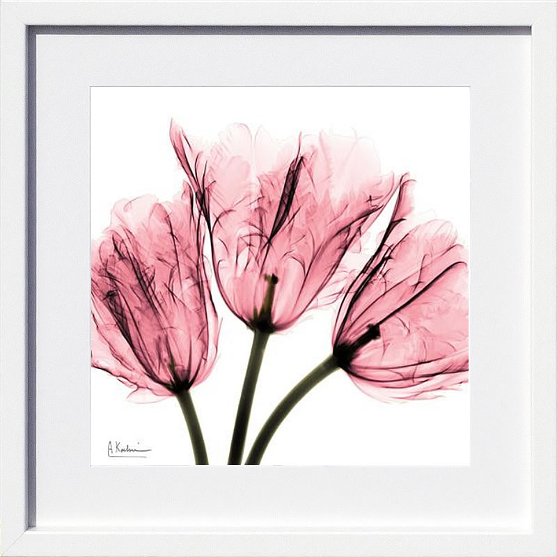 【ライセンスプリント】レントゲンアート XRay 絵画 ポスター アートパネル モダン アート 絵 複製画 版画 抽象画 作品 リトグラフ シルクスクリーン アートフレーム インテリア フレーム付き 壁掛け 北欧 おしゃれアルバート・クーツィール Soft Pink Tulips