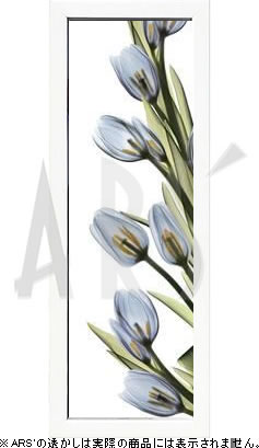 【ライセンスプリント】レントゲンアート XRay 絵画 ポスター アートパネル モダン アート 絵 複製画 版画 抽象画 作品 リトグラフ シルクスクリーン アートフレーム インテリア フレーム付き 壁掛け 北欧 おしゃれアルバート・クーツィール Cascading Tulips