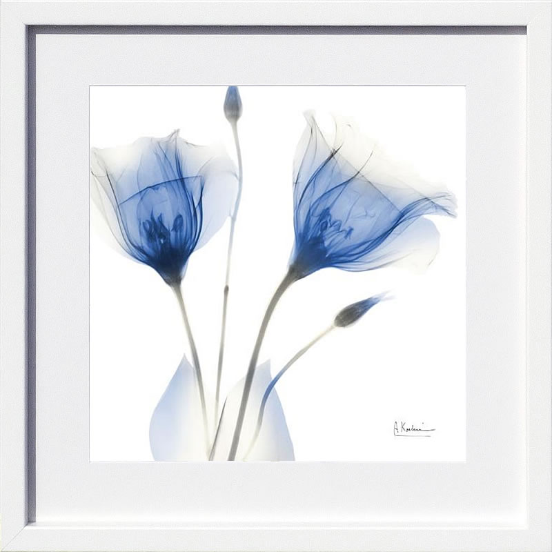 【ライセンスプリント】レントゲンアート XRay 絵画 ポスター アートパネル モダン アート 絵 複製画 版画 抽象画 作品 リトグラフ シルクスクリーン アートフレーム インテリア フレーム付き 壁掛け 北欧 おしゃれアルバート・クーツィール Deep Indigo Harvest 2