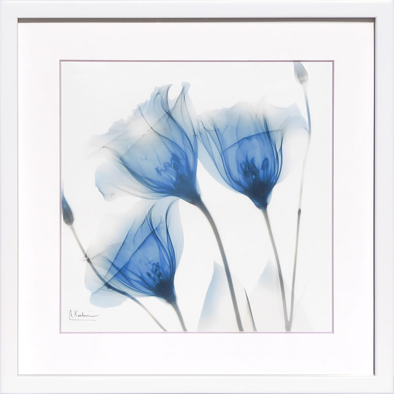 レントゲンアート XRay 絵画 絵 ポスター アートパネル アートポスター モダン アート 複製画 版画 リトグラフ シルクスクリーン 絵画インテリア フレーム付き 北欧 おしゃれアルバート・クーツィール Deep Indigo Harvest 1