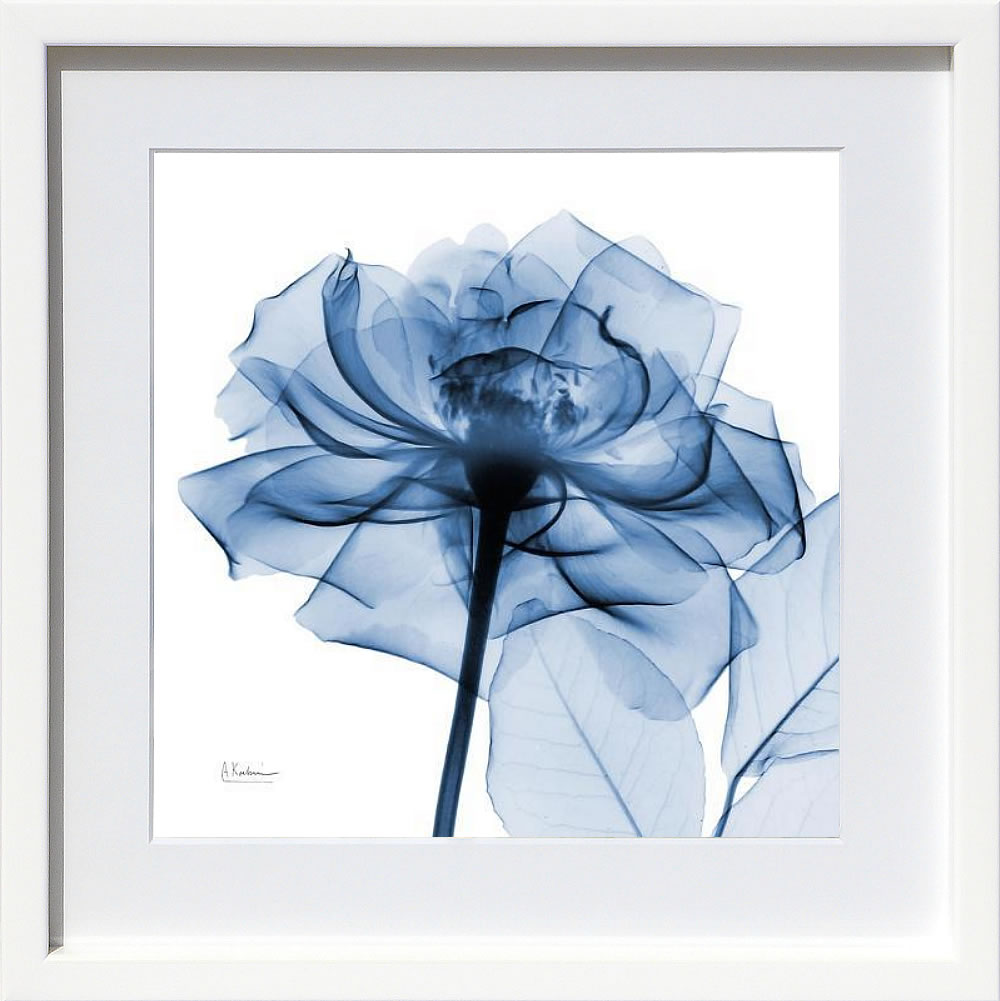 【ライセンスプリント】レントゲンアート XRay 絵画 ポスター アートパネル モダン アート 絵 複製画 ..