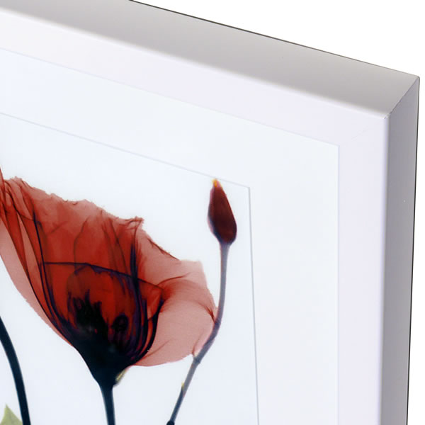 【ライセンスプリント】レントゲンアート XRa...の紹介画像2