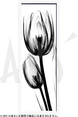 【ライセンスプリント】レントゲンアート XRay 絵画 ポスター アートパネル モダン アート 絵 複製画 版画 抽象画 作品 リトグラフ シルクスクリーン アートフレーム インテリア フレーム付き 壁掛け 北欧 おしゃれアルバート・クーツィール Tulip A52