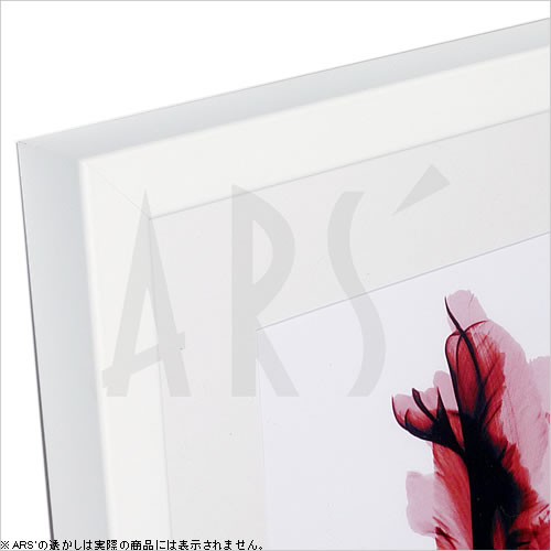 【ライセンスプリント】レントゲンアート XRay 絵画 ポスター アートパネル モダン アート 絵 複製画 版画 抽象画 作品 リトグラフ シルクスクリーン アートフレーム インテリア フレーム付き 壁掛け 北欧 おしゃれアルバート・クーツィール Red Tulip 2