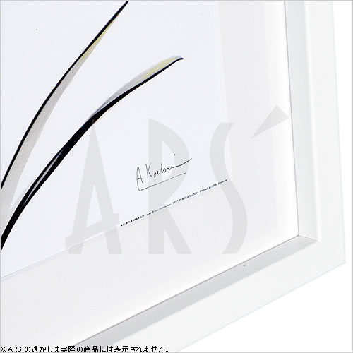 【ライセンスプリント】レントゲンアート XRay 絵画 ポスター アートパネル モダン アート 絵 複製画 版画 抽象画 作品 リトグラフ シルクスクリーン アートフレーム インテリア フレーム付き 壁掛け 北欧 おしゃれアルバート・クーツィール Red Tulip 3