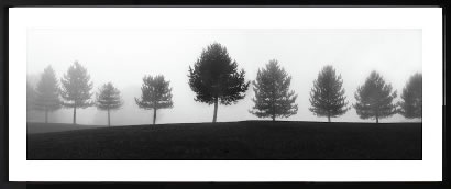 樂天商城 - エリン クラーク アートパネル アート ポスター アートフレーム インテリア 北欧 おしゃれ 額 入り タペストリー 壁掛け インテリアアートパネル モダンアート 絵画 インテリア 抽象画 ポスター ウォールアート インテリア フレームエリン・クラーク Tree Line