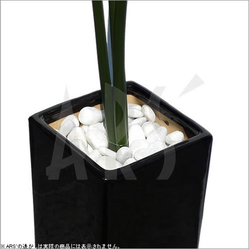 �ե��������꡼�� ����ƥꥢ���꡼�� �����ƥ��ե�����륰�꡼�� �͹����տ�ʪ ¤�� ����ƥꥢ ������� �緿 �ߥ� ��� �������� ������ �ý�����ƥꥢ���꡼�� ���顼