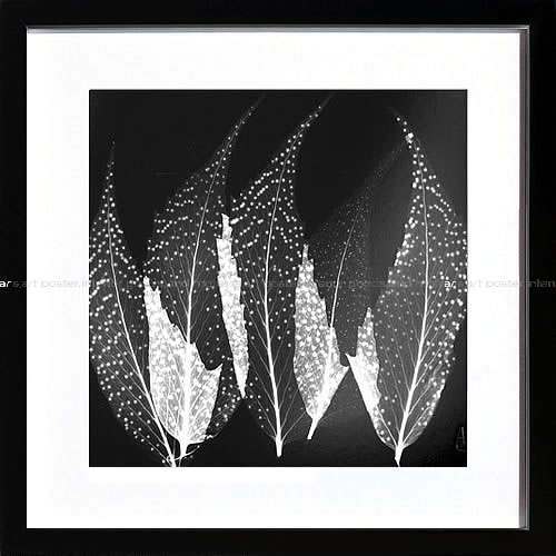 【ライセンスプリント】レントゲンアート XRay 絵画 アート ポスター アートパネル モダン 絵 複製画 版画 抽象画 作品 リトグラフ シルクスクリーン アートフレーム インテリア フレーム付き 壁掛け 北欧 おしゃれアルバート・クーツィール Japanese Fern Black＆Whit