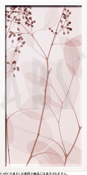 【ライセンスプリント】レントゲンアート XRay 絵画 ポスター アートパネル モダン アート 絵 複製画 版画 抽象画 作品 リトグラフ シルクスクリーン アートフレーム インテリア フレーム付き 壁掛け 北欧 おしゃれスティーブン N.マイヤーズ Eucalyptus III