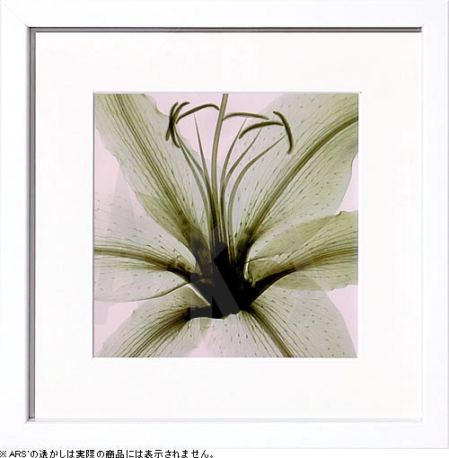 【ライセンスプリント】レントゲンアート XRay 絵画 ポスター アートパネル モダン アート 絵 複製画 版画 抽象画 作品 リトグラフ シルクスクリーン アートフレーム インテリア フレーム付き 壁掛け 北欧 おしゃれスティーブン N.マイヤーズ Lily