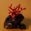 1点物 日本産血赤珊瑚『拝見』 3月 誕生石 珊瑚 置物 アクセサリー ジュエリー 還暦祝 赤 結婚 35周年 プレゼント 本珊瑚 さんご サンゴ