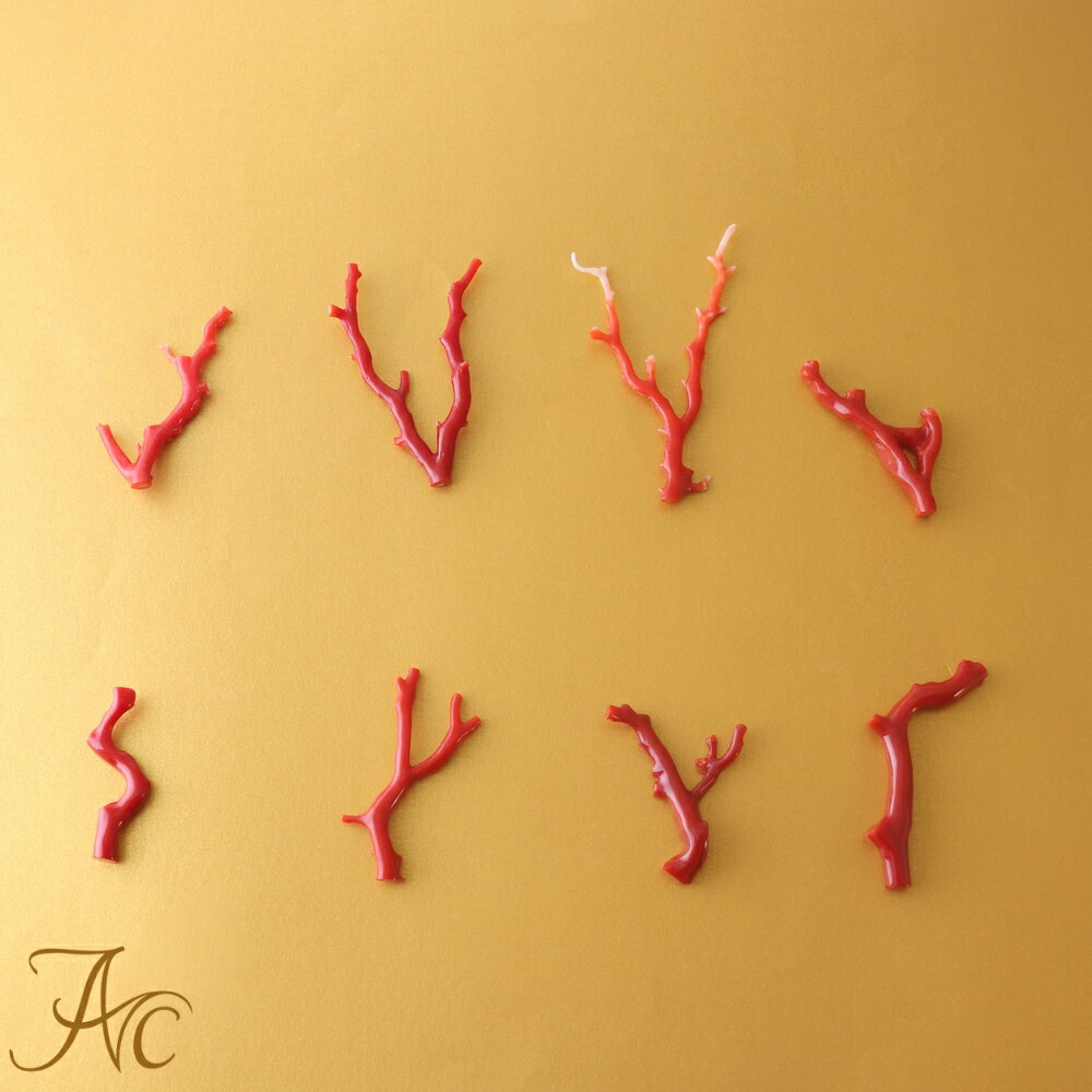 1ǯݾդ ֻܻޡ롼 ڥ ֥ 3   ꡼ 奨꡼   뺧 35...