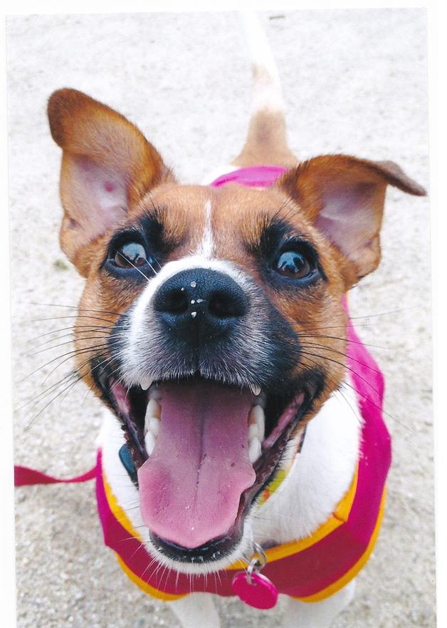 ���������� 3D �ꥢ�� Ω�� �������� �ڥå� ���� ���鳨 ���� �����å� �ɳݻ��� ���襤������ ���鳨���� Ω�λ��� ������� �ץ쥼��� ���ץ饤�� ���������ᥤ�ɻ���