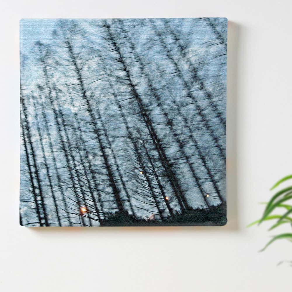 木 空 自然のインテリア用アートパネル ファブリック パネル ポスター ボード 壁掛け アート 絵 おしゃれ インテリア 玄関 30cm×30cm Mサイズ 【返金保証】