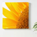 花 植物 ヒマワリのインテリア用アートパネル ファブリック パネル ポスター ボード 壁掛け アート 絵 おしゃれ インテリア 玄関 57cm×57cm 【返金保証】