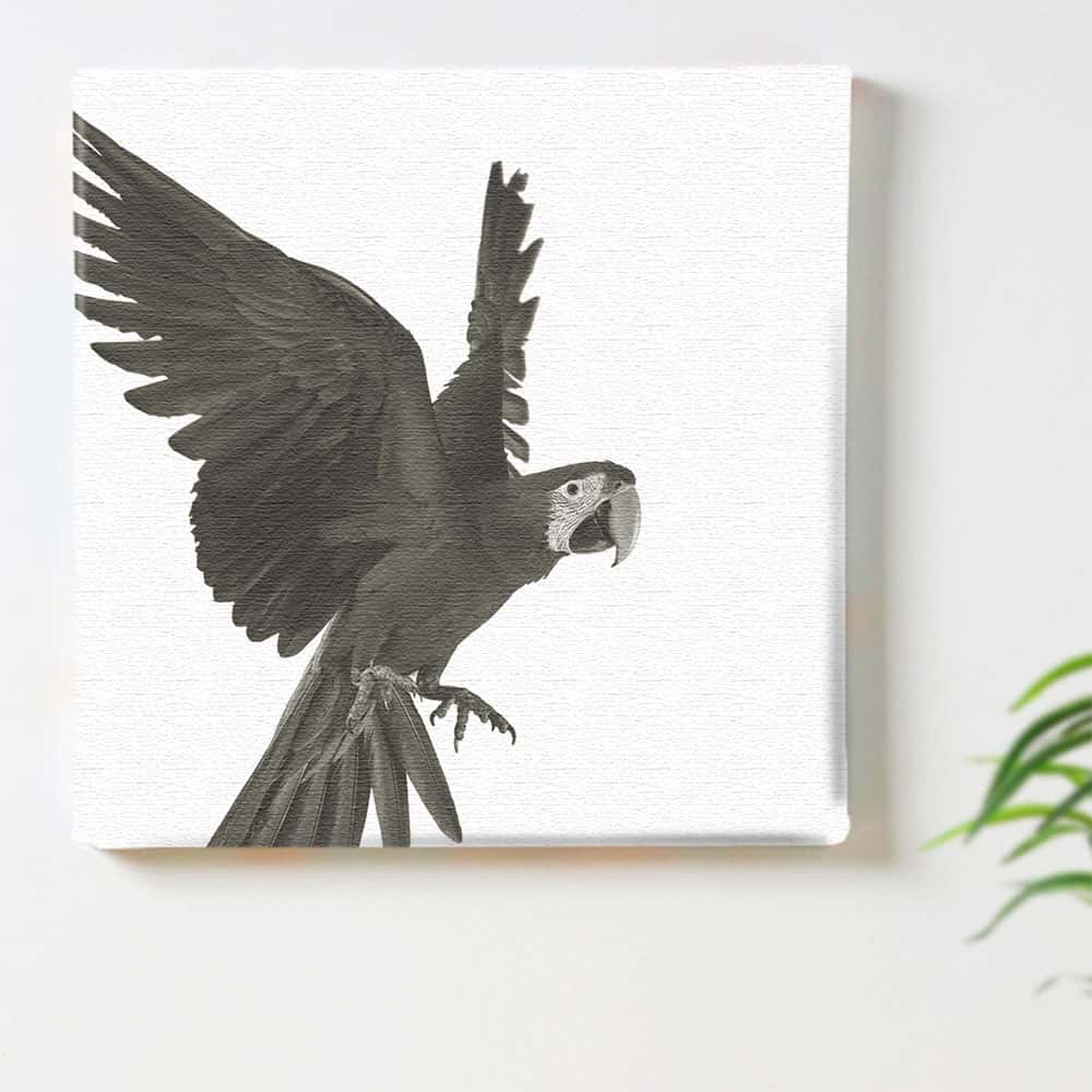 鳥 インコ モノクロのインテリア用ファブリックパネル ファブリック パネル ポスター ボード 壁掛け アート 絵 おしゃれ インテリア 玄関 30cm×30cm Mサイズ 【返金保証】