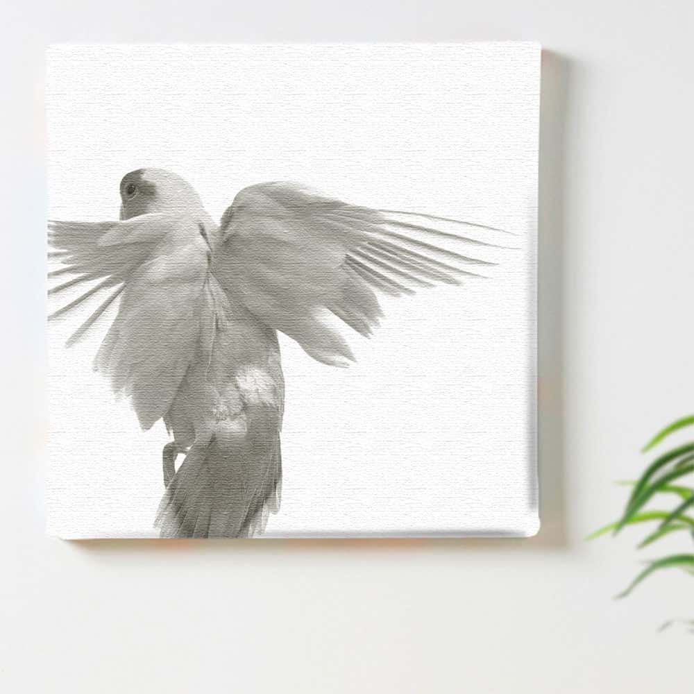 鳥 インコ モノクロのインテリア用アートパネル ファブリック パネル ポスター ボード 壁掛け アート 絵 おしゃれ インテリア 玄関 30cm×30cm Mサイズ 【返品保証】