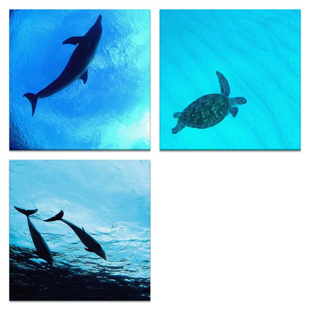 【アートデリ】海の写真のアートパネルセット インテリア 雑貨 アート mur-0002_mur-0004_pho-0031ファ..