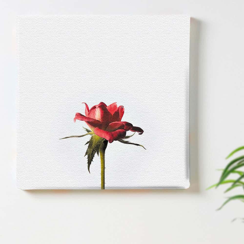 【アートデリ】花のファブリックボード インテリア雑貨 アートパネル キャンバス ホワイト poht-2205-1..