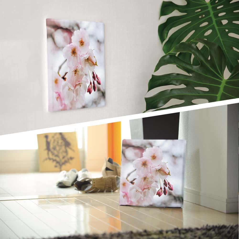 【アートデリ】花のアートパネル インテリア雑貨 アートパネル キャンバス ピンク 桜 poht-2205-19 30cm×30cm Mサイズ 2