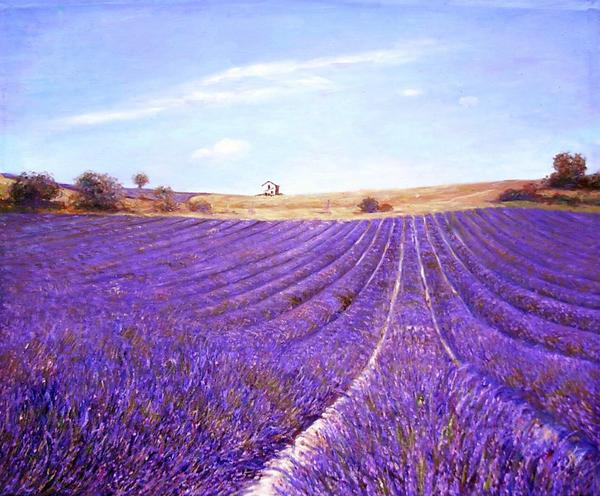 画家による油彩画です。　 絵画サイズはF12号（50x61cm）、油彩額付（額指定）。 額縁見本は、カテゴリーの額縁見本をご覧下さい。　 お気に入りの写真から、熟練した画家による絵画の受注制作を承っておりますので、お問い合わせ下さい。