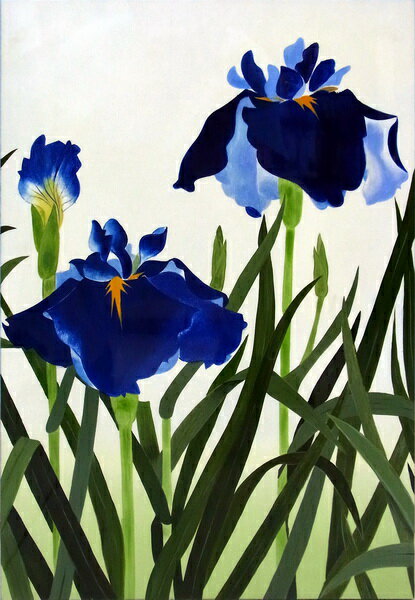 特価漆絵 花菖蒲 nh220aw