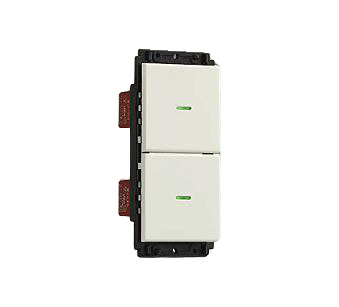 Other - 大光電機 2個スイッチ DP40390