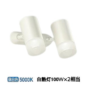 大光電機 スポットライト 屋内用 DSL5323WW 工事必要