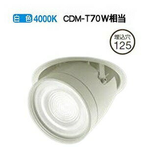 大光電機 ダウンスポット（電源別売） LZD91982NWE 工事必要