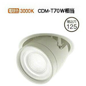 大光電機 ダウンスポット（電源別売） LZD91982YWE 工事必要