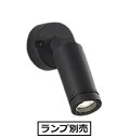 大光電機 アウトドアスポットライト（ランプ別売） LZW93425XB 工事必要