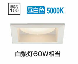 大光電機 ベースダウンライト DDL5621WWG 昼白色 調光 工事必要