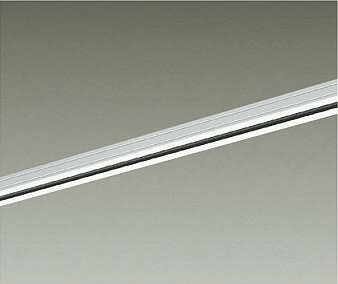 大光電機 直付専用ダクトレール1m用 白 DP00211W 工事必要