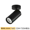大光電機 シリンダースポット LZS-9121YBM5 2000クラス CDM-T35W相当 3000K 高演色 工事必要