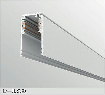 大光電機 DC48Vダクト(深型タイプ) TP-VL2001W 1m 白