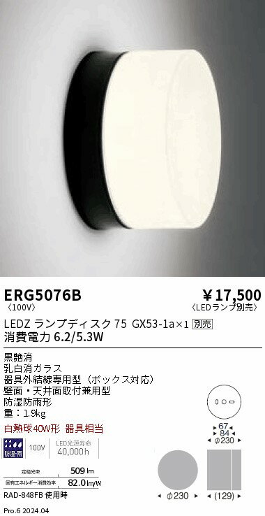 【5/10・15限定★抽選で最大100％ポイントバック】遠藤照明 アウトドアブラケット ランプ別売 ERG5076B 工事必要 2