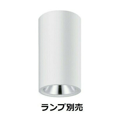 遠藤照明 シーリングダウンライト ランプ別売 ERG5553W 工事必要