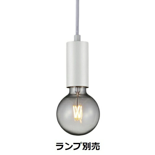 ƣ ȥ졼ѥڥ  ̵Ĵ ERP7511W