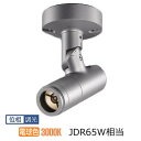 コイズミ照明 エクステリアスポットライト XU57122 eX-Pro-S フランジ 3000K JDR65W相当 Φ55タイプ 位相調光 工事必要
