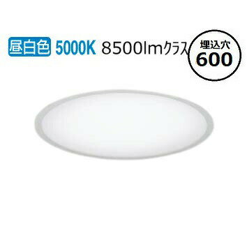 コイズミ照明 SGI形ベースライト XD53983 工事必要 サークル 昼白色