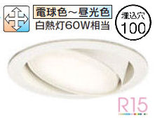 ǥå ˥С饤 OD361243BCR ĴĴ 鿧 Bluetooth 100 Ǯ60W ɬ